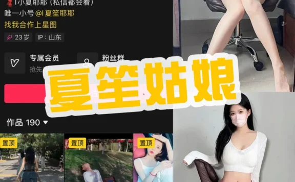 夏笙姑娘 微密圈(维密圈)写真图片及舞蹈视频全集打包