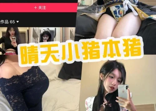 抖音 晴天小猪本猪 微密圈(weme)写真定制福利资源打包合集